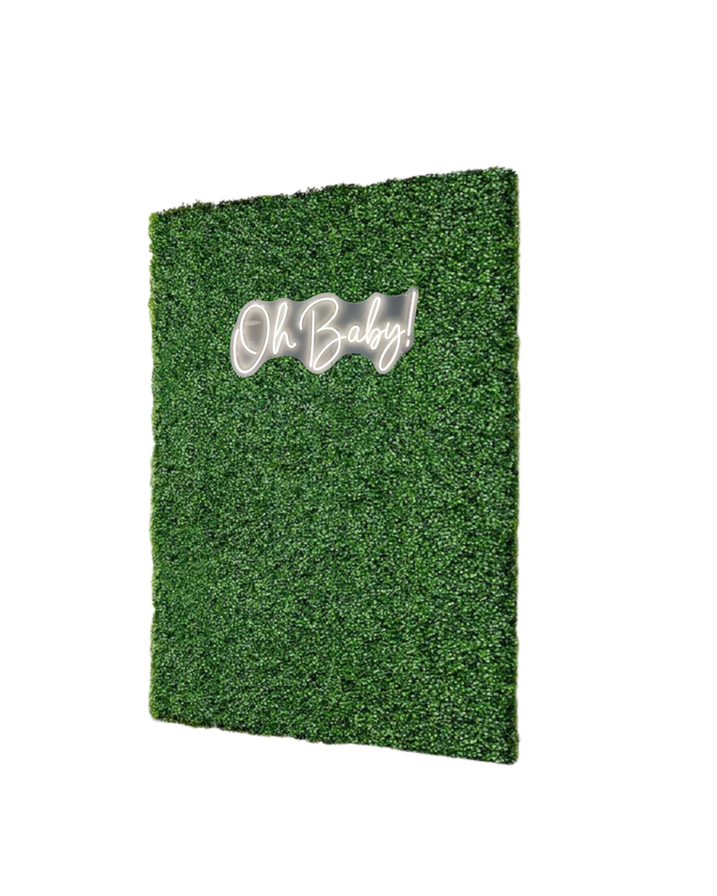 Greenery Wall Backdrop RENTAL